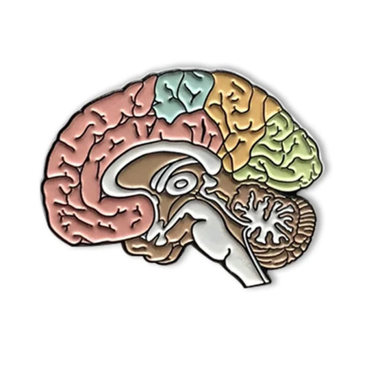 Anatomy Medical Brain Brooch  Colorful Enamel Lapel Badge Pins